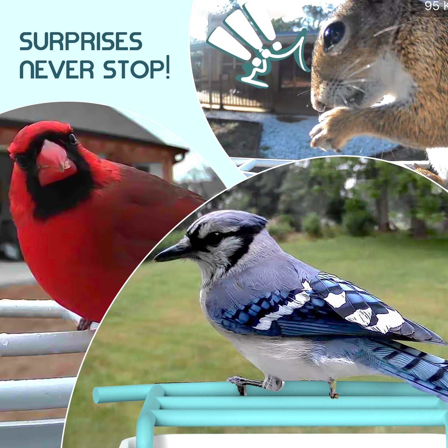 Smart Bird Feeder with Camera, Free AI Forever for 11,000+ Bird Species, 64G TF Card & 1080P HD, Solar-Powered Wireless Outdoor Bird Feeder, App Alerts & Two-Way Audio for Garden Bird Watching