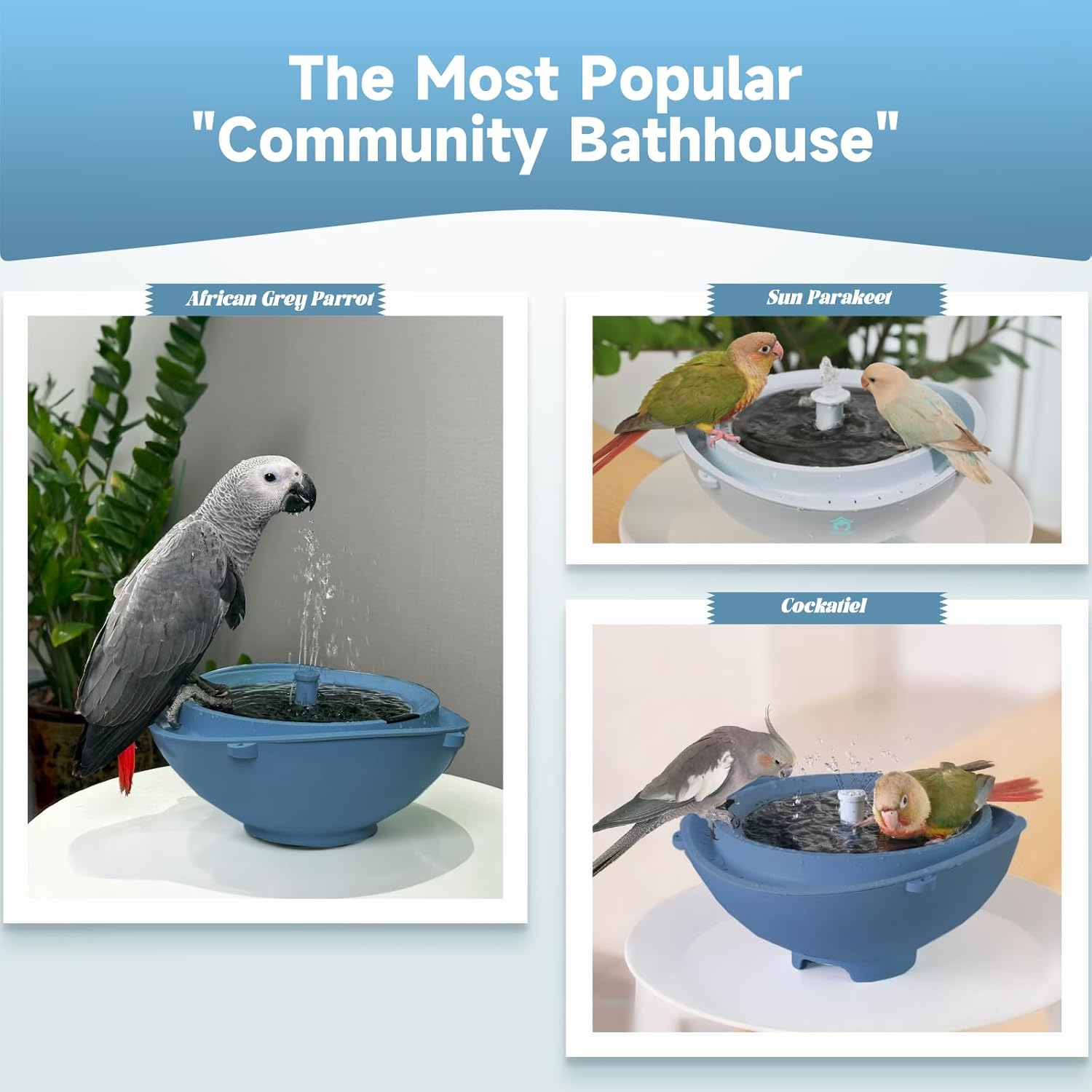 Solar Powered Bird Bath Fountain with Built-in Lithium Battery, 3 Nozzles for Garden, Automatic Low-Water Protection, Gift for Bird Lovers (Deep Blue)