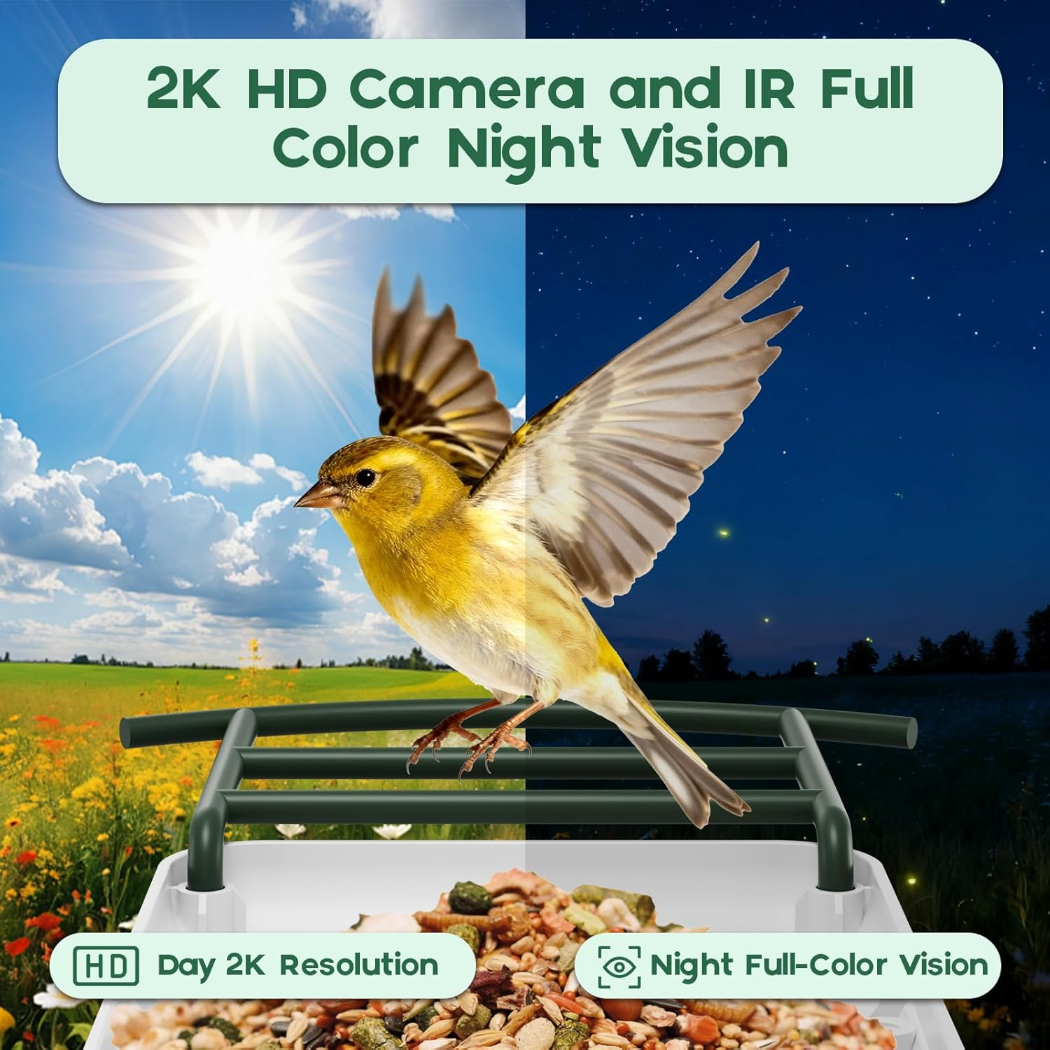 Bird Feeder with Camera-2K HD & Full Color Night Vision, Free AI Forever for 1,1000+ Species Identification, Solar Powered Wireless Outdoor, Includes 64GB TF Card, Two-Way Audio, App Alerts