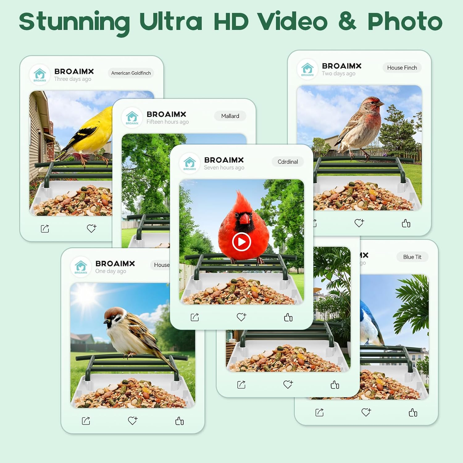 Bird Feeder with Camera-2K HD & Full Color Night Vision, Free AI Forever for 1,1000+ Species Identification, Solar Powered Wireless Outdoor, Includes 64GB TF Card, Two-Way Audio, App Alerts