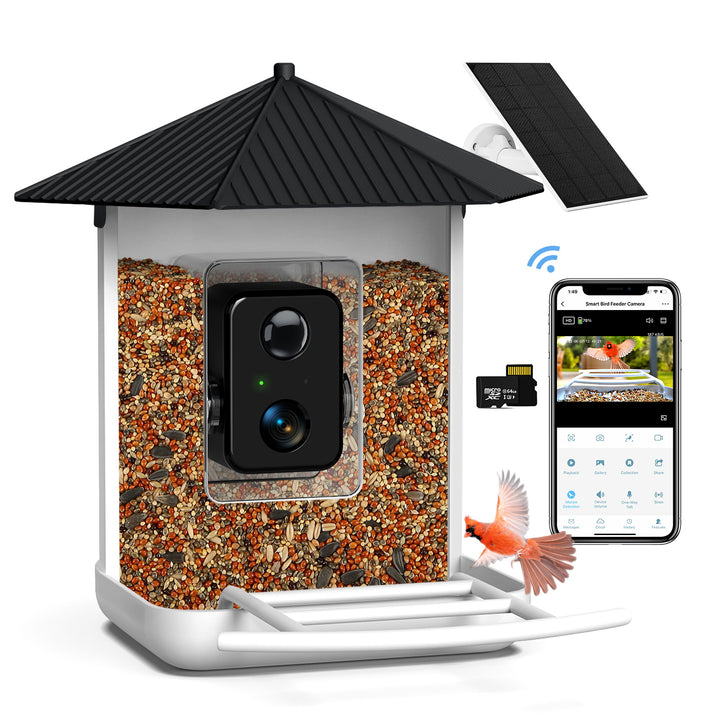 AI Smart Bird Feeder Camera Auto Capture Bird Bird Species Microphone