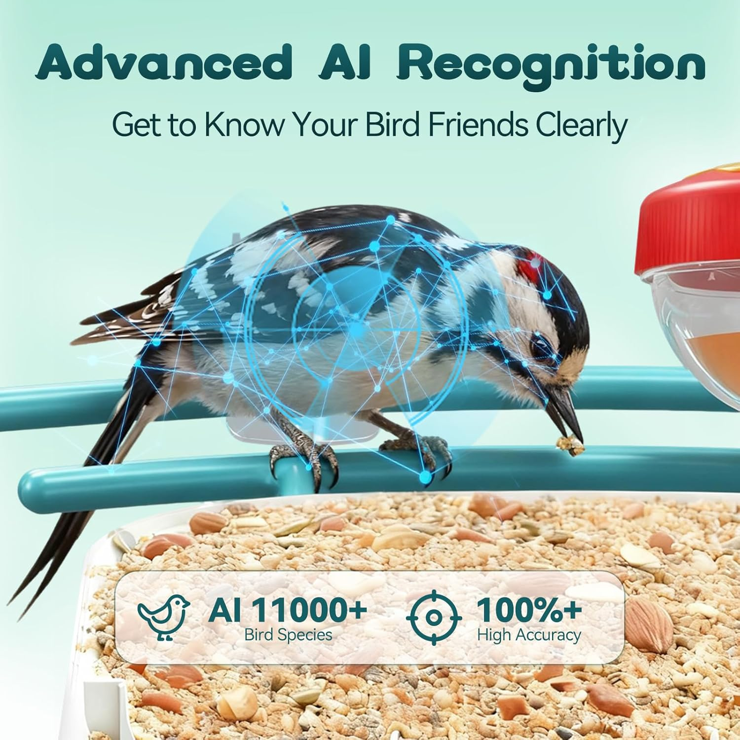 Smart Bird Feeder with Camera-AI Identify 11,000+ Species, 2K HD Auto Capture Birds Video & 64G TF Card, Solar-Powered Wireless Outdoor Design, Birdhouse with Built-in Two-Way Microphone