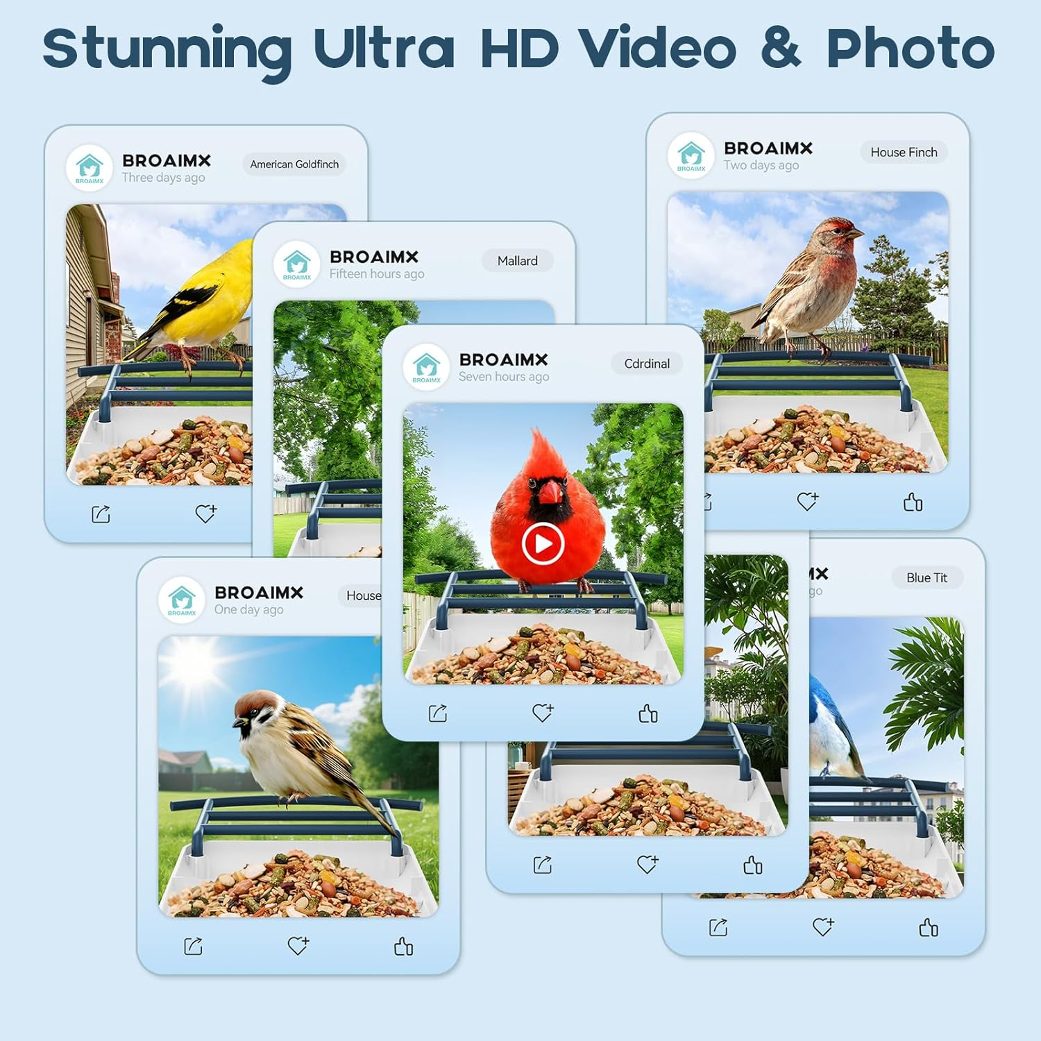 Bird Feeder with Camera-2K HD & Full Color Night Vision, Free AI Forever for 1,1000+ Species Identification, Solar Powered Wireless Outdoor, Includes 64GB TF Card, Two-Way Audio, App Alerts