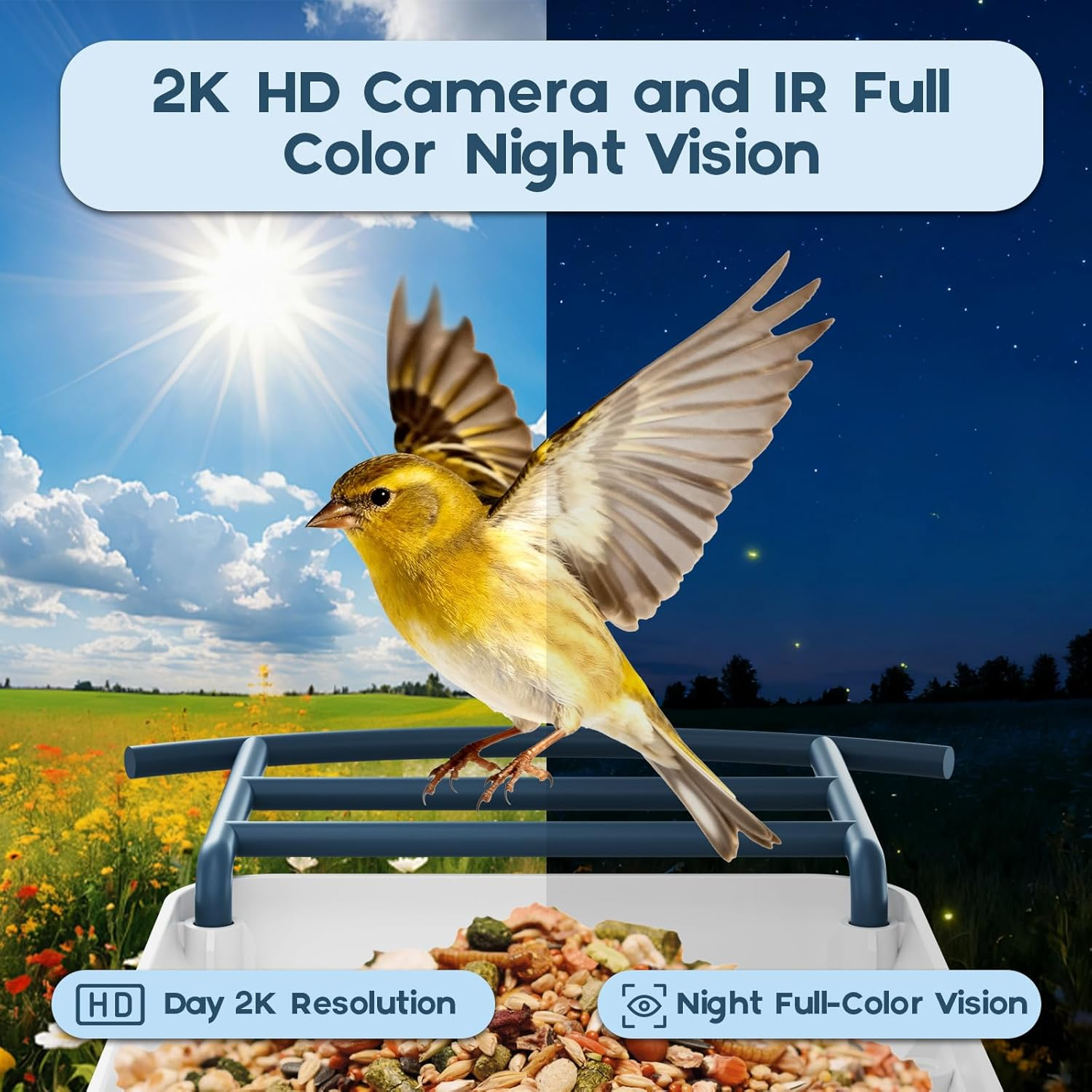 Bird Feeder with Camera-2K HD & Full Color Night Vision, Free AI Forever for 1,1000+ Species Identification, Solar Powered Wireless Outdoor, Includes 64GB TF Card, Two-Way Audio, App Alerts