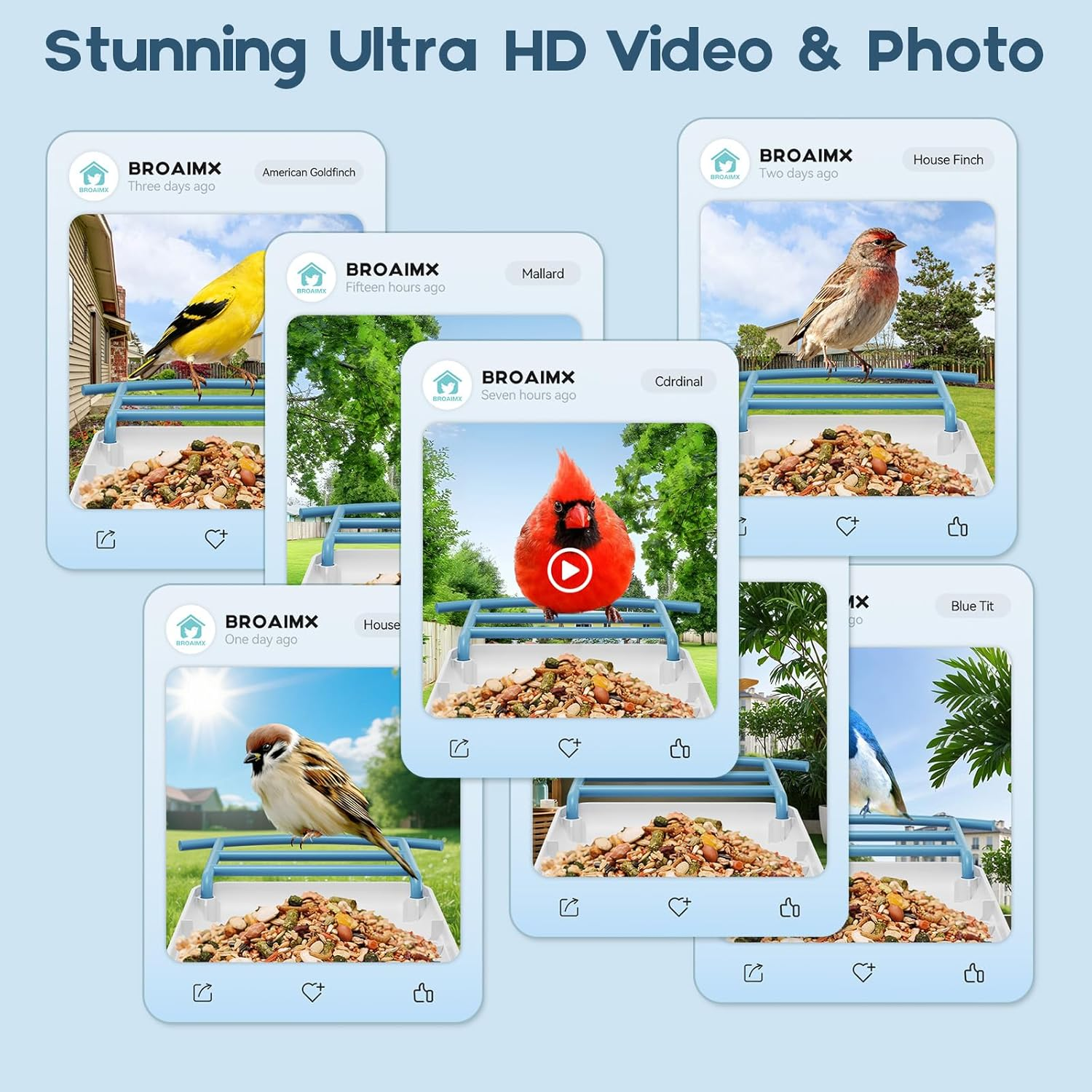 Bird Feeder with Camera-2K HD & Full Color Night Vision, Free AI Forever for 1,1000+ Species Identification, Solar Powered Wireless Outdoor, Includes 64GB TF Card, Two-Way Audio, App Alerts