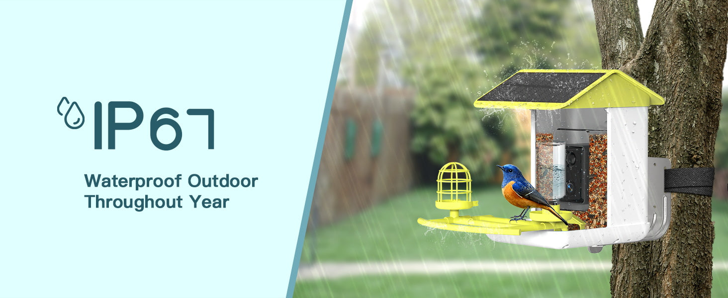 Smart Bird Feeder with Camera, Free AI Forever for 11,000+ Bird Species, 64G TF Card & 1080P HD, Solar-Powered Wireless Outdoor Bird Feeder, App Alerts & Two-Way Audio for Garden Bird Watching