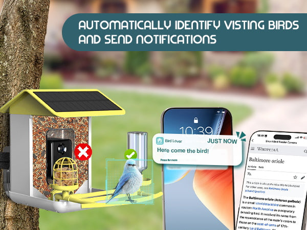 Smart Bird Feeder with Camera, Free AI Forever for 11,000+ Bird Species, 64G TF Card & 1080P HD, Solar-Powered Wireless Outdoor Bird Feeder, App Alerts & Two-Way Audio for Garden Bird Watching